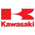 Изображение для категории Kawasaki