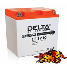 Изображение Аккумулятор для квадроцикла "Delta" CT 1230 (YIX30L-BS)