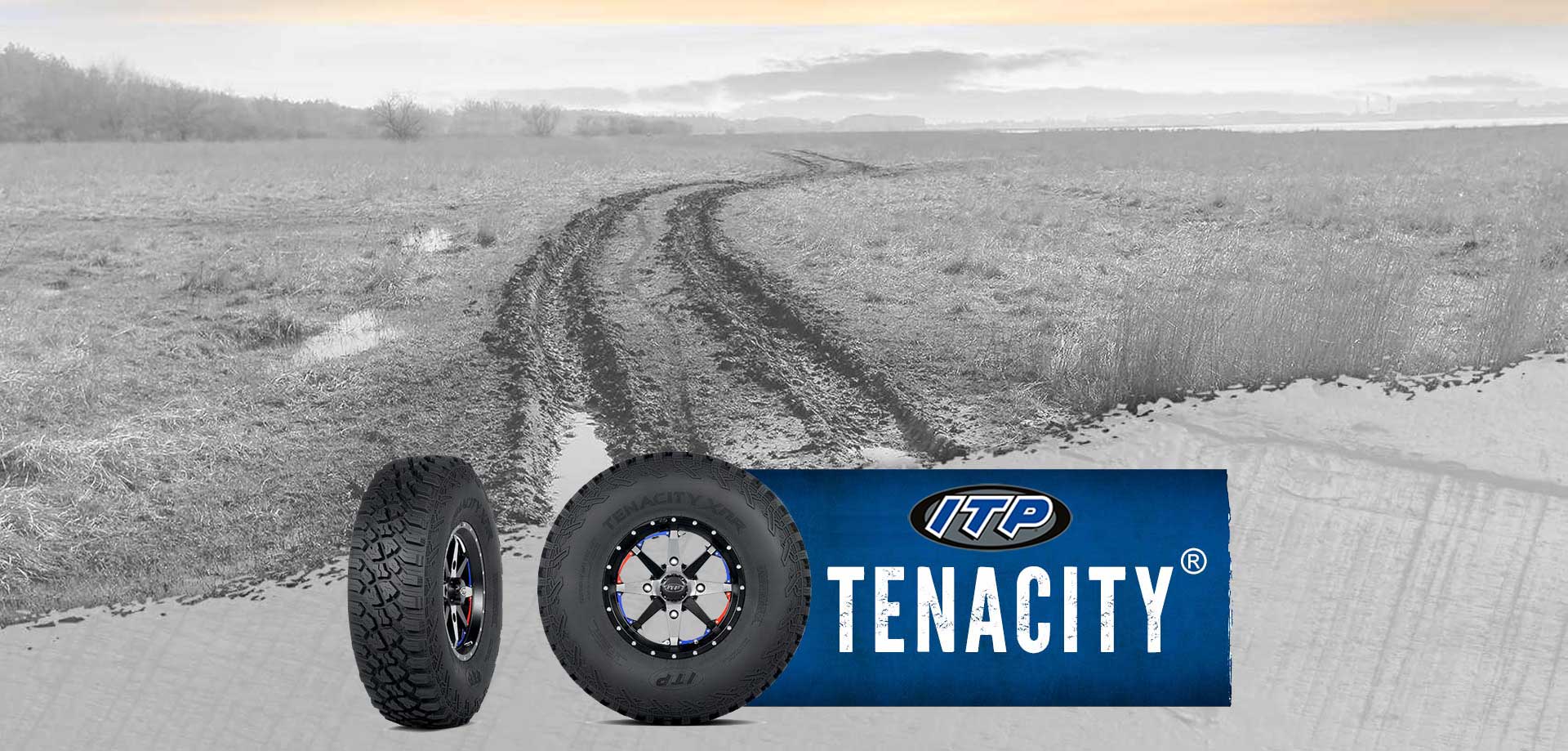 ITP TenaCity